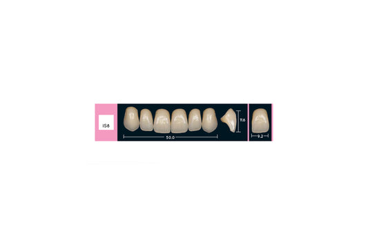 DENTI ENIGMA LIFE+ IS8