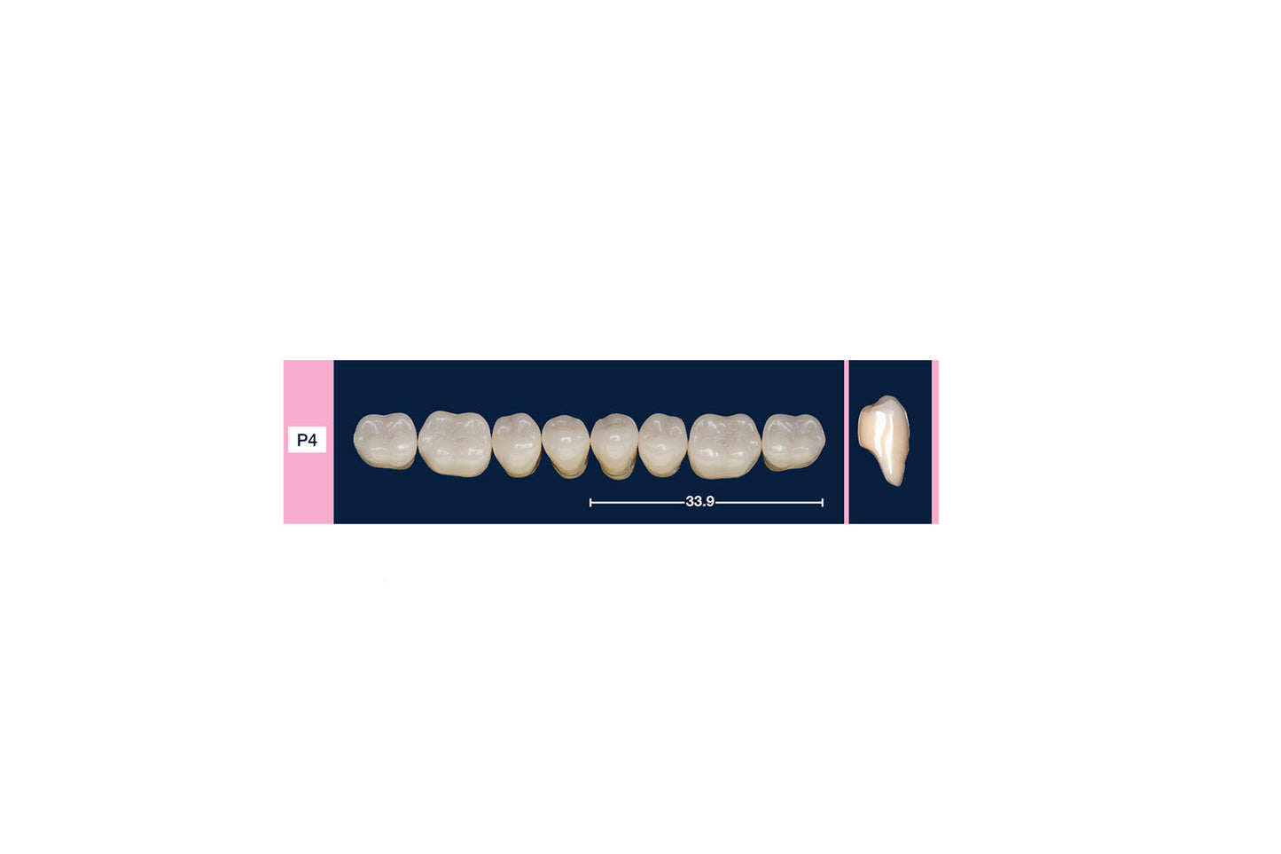 DENTI 4 NATUR P4 INF