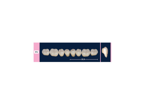 DENTI 4 NATUR P4 INF
