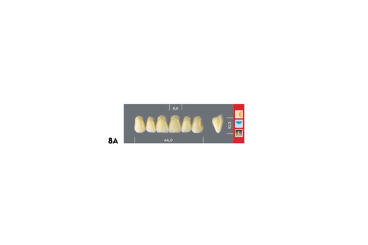 DENTI MAJOR DENT 8A