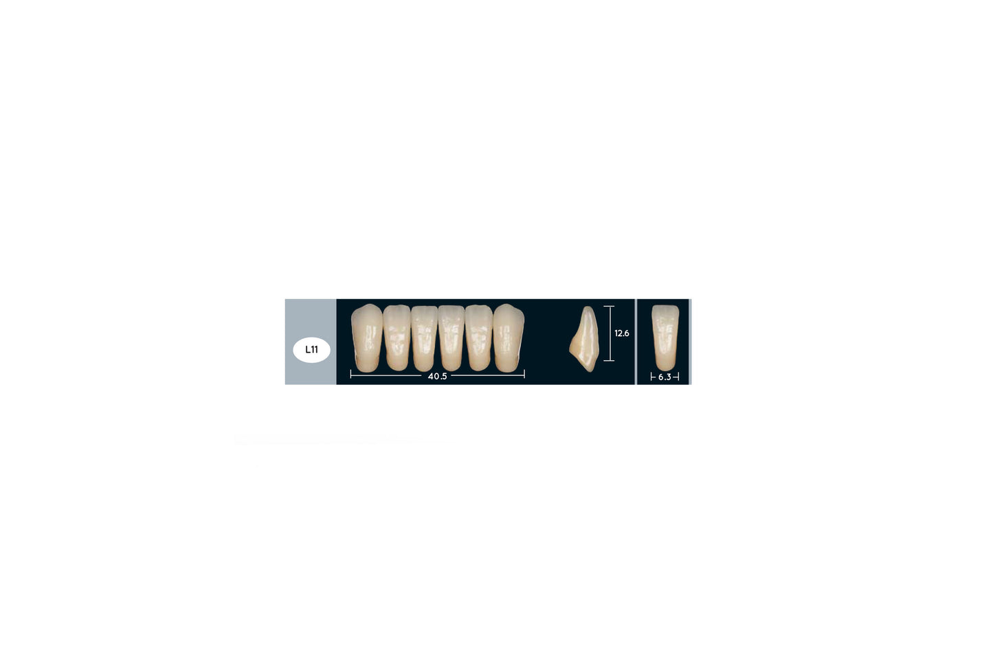 DENTI ENIGMA LIFE+ L11