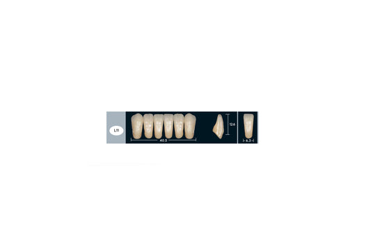 DENTI ENIGMA LIFE+ L11