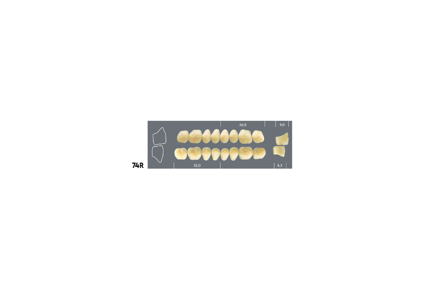 DENTI MAJOR DENT 74R SUPERIORE