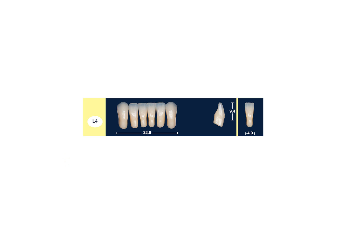 DENTI 4 NATUR L4