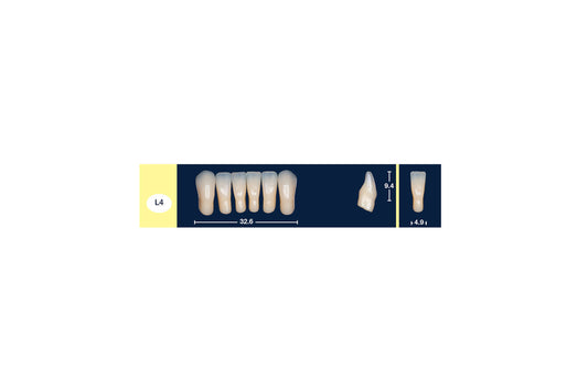 DENTI 4 NATUR L4