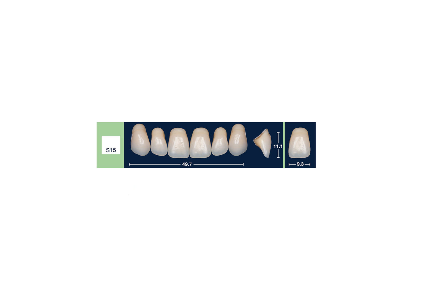 DENTI 4 NATUR S15