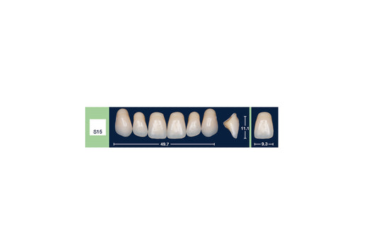 DENTI 4 NATUR S15