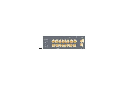 DENTI MAJOR PLUS COMP WS INF