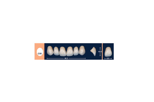 DENTI 4 NATUR O36