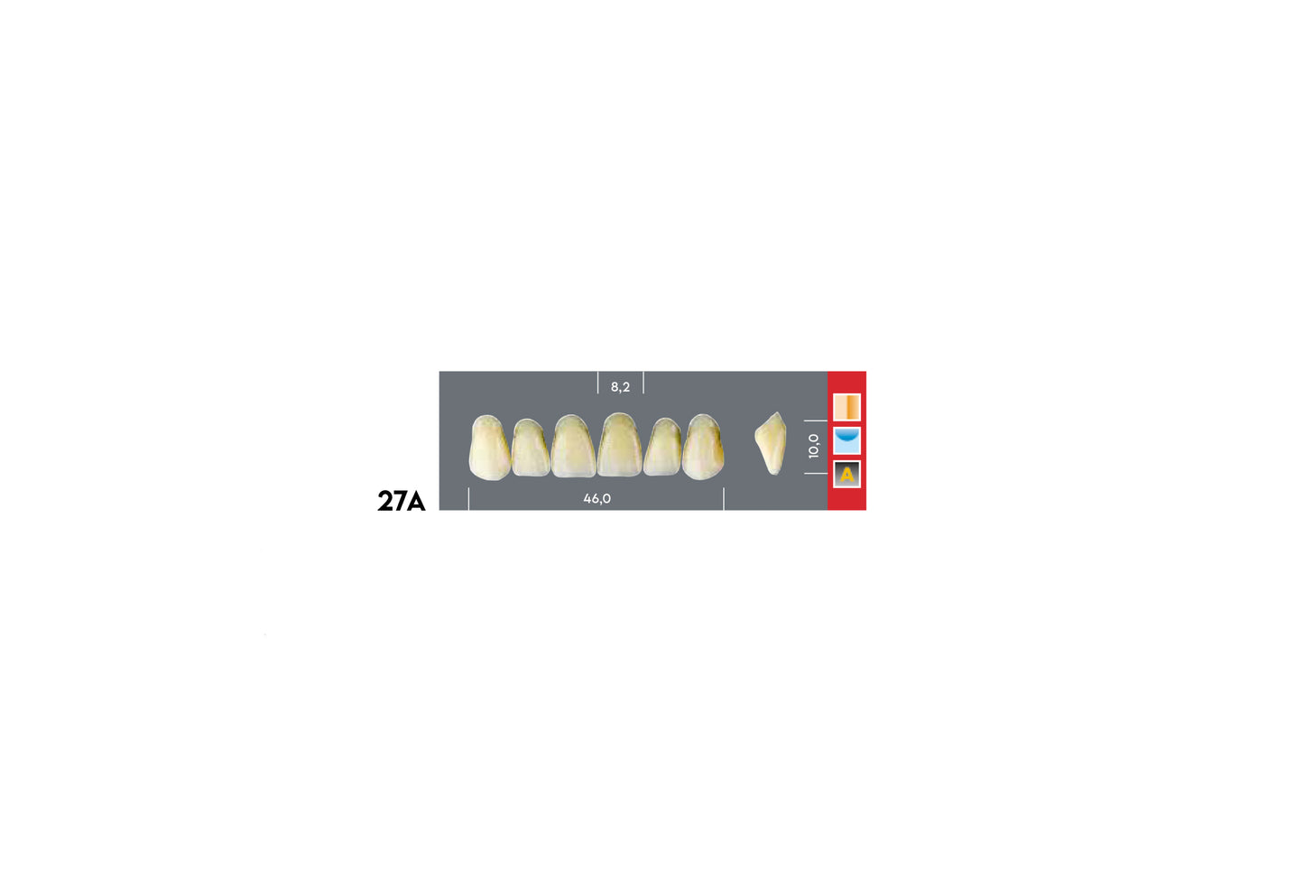 DENTI MAJOR DENT 27A