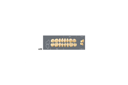 DENTI MAJOR PLUS COMP A32 SUP
