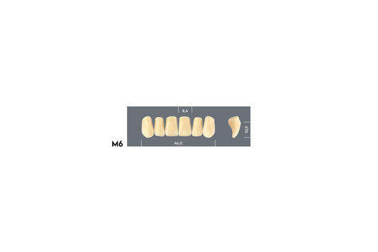 DENTI MAJOR PLUS COMP M6