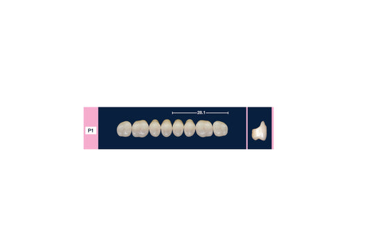 DENTI 4 NATUR P1 SUP