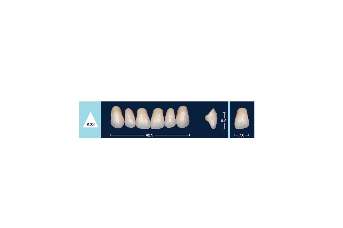 DENTI 4 NATUR K22