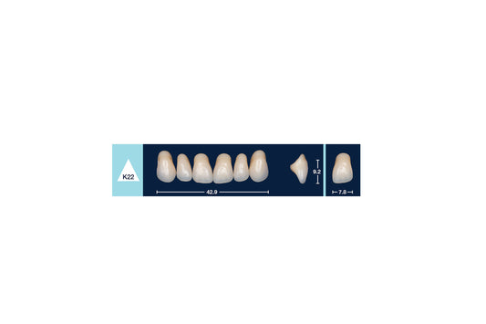 DENTI 4 NATUR K22