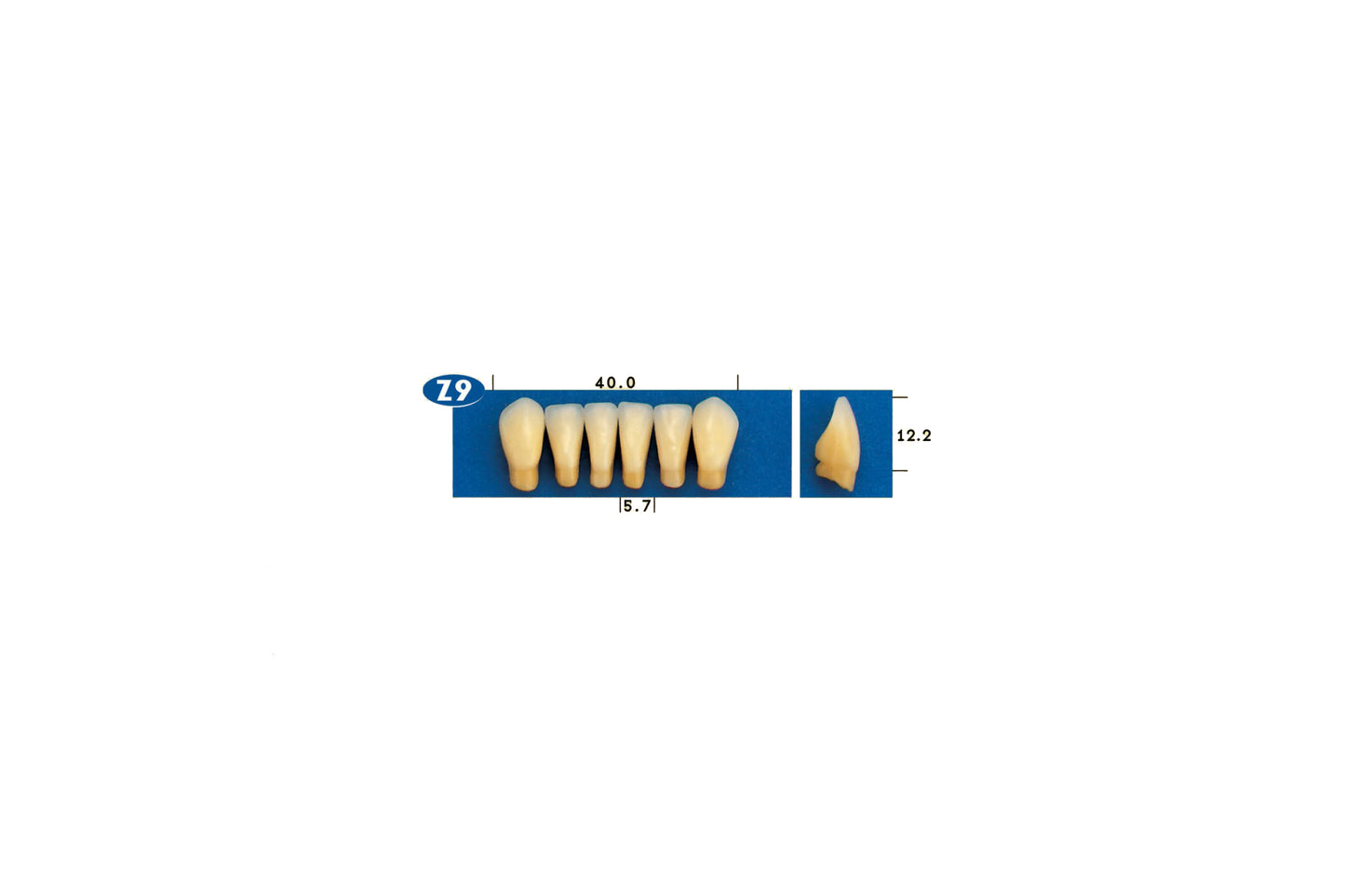 DENTI GOLDENT EXCLUSIVE Z9