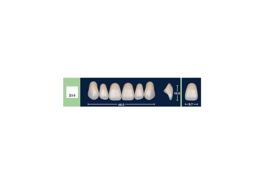 DENTI 4 NATUR S14