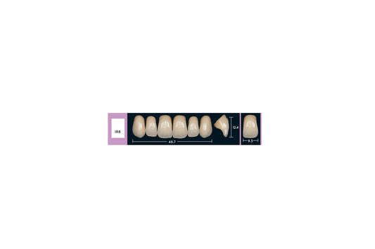 DENTI ENIGMA LIFE+ IR8